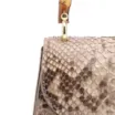 Bolsa De Mão Bambu Python Bege - imagem 5