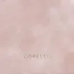 Bolsa De Mão Couro Estonado Rosa - imagem 6