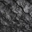Bolsa De Ombro Pirarucu Preto - imagem 6