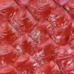Bolsa De Ombro Pirarucu Vermelho - imagem 6