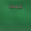 Bolsa Transversal Couro Verde Folha - imagem 5