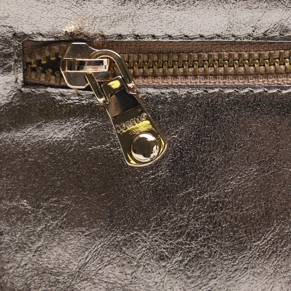 Bolsa Transversal Cristal Prata Velho - imagem 5