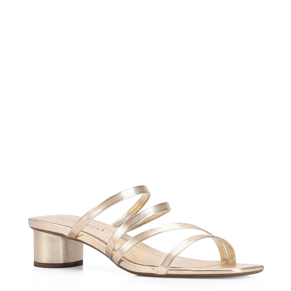 Mule Alt Dourado