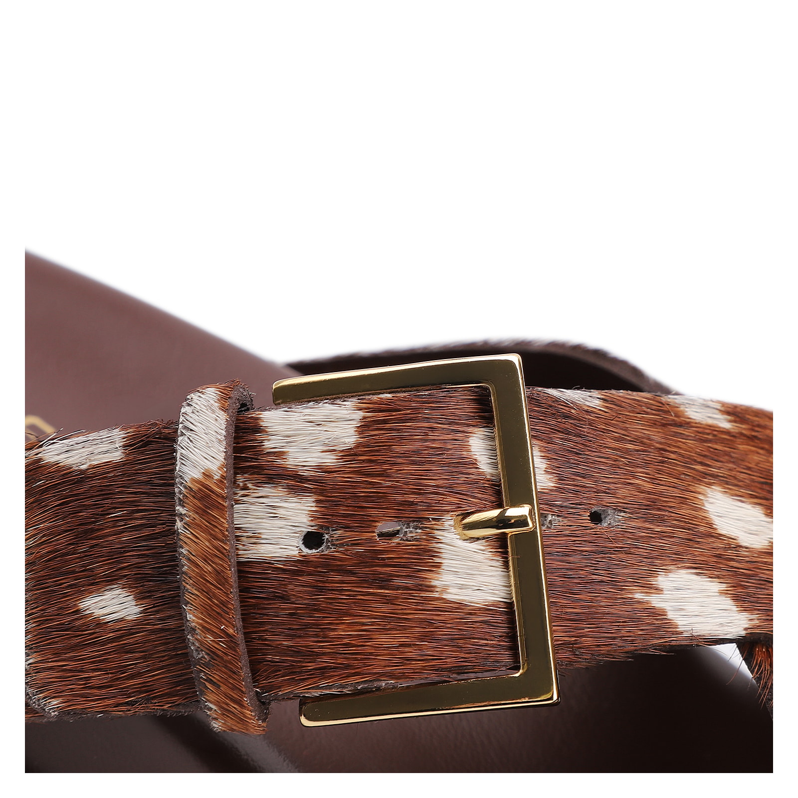 Papete Animal Print Couro Pelo Fivela Dourada