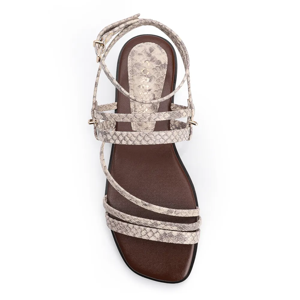 Rasteirinha Alt Python Cinza - imagem 5