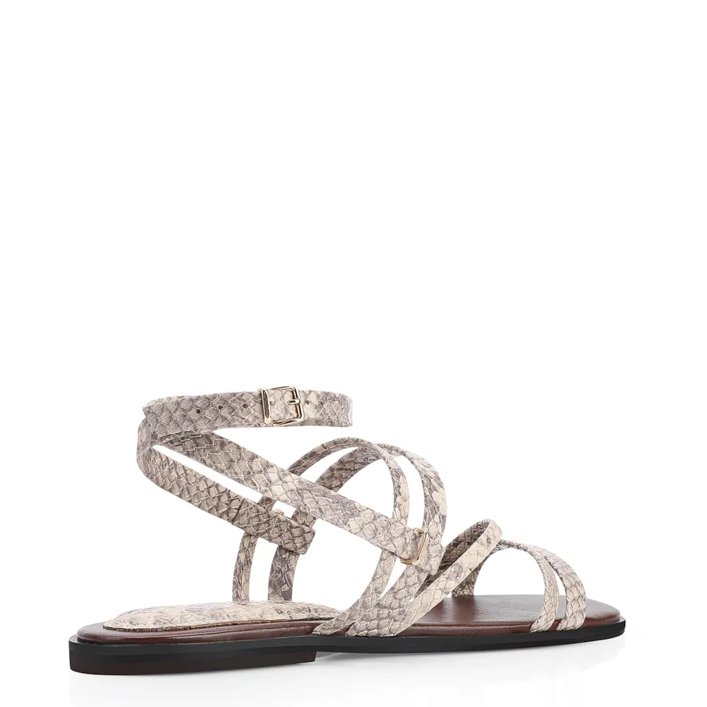 Rasteirinha Alt Python Cinza - imagem 3