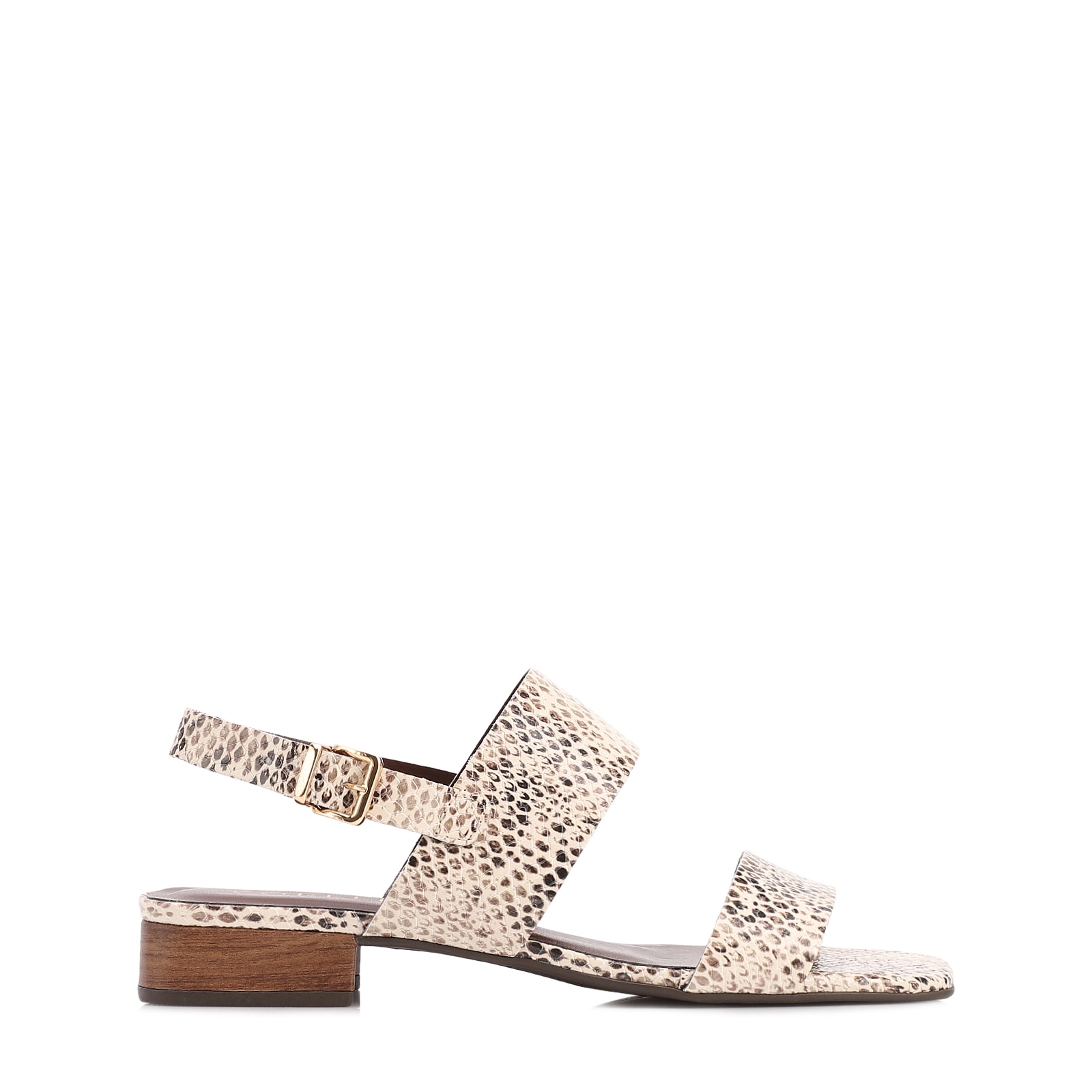 Rasteirinha Animal Print Salto Baixo Alt Pytthon