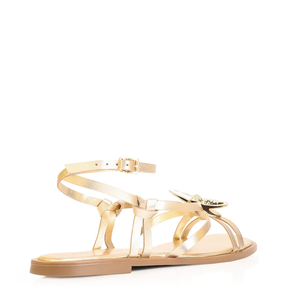 Rasteirinha Estrela Do Mar Alt Dourado - imagem 3