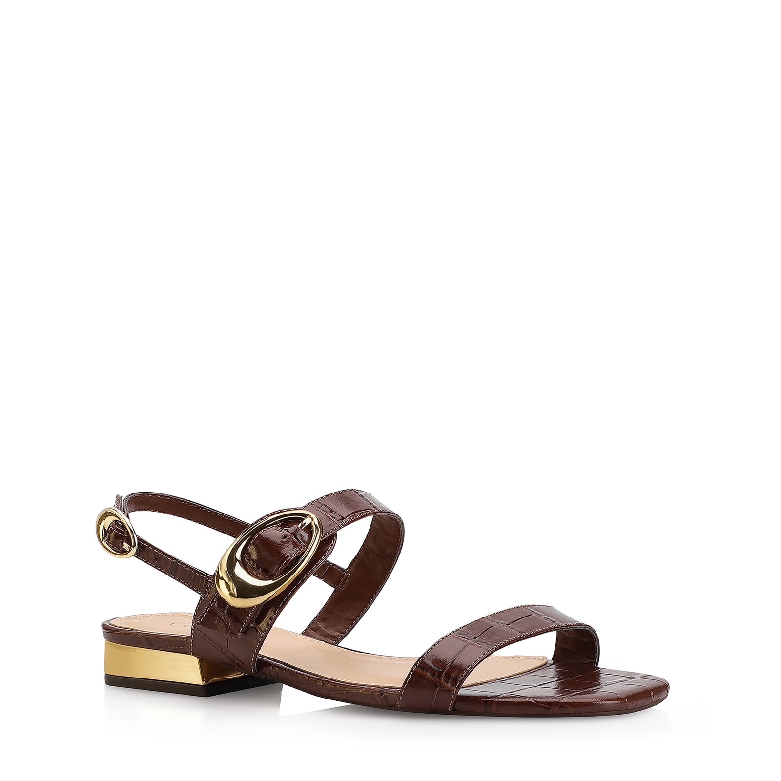 Rasteirinha Fivela Couro Croco Marrom