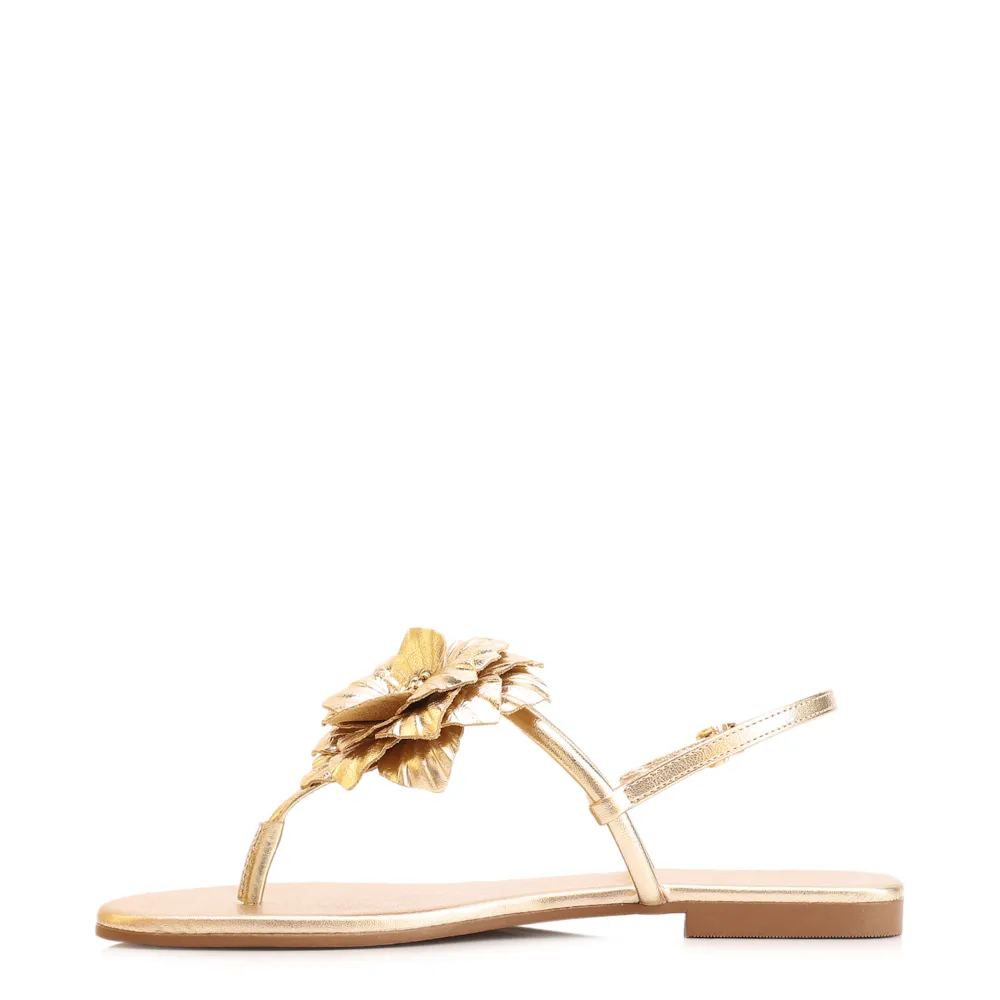 Rasteirinha Flor Couro Dourado/Alt Dourado - imagem 4