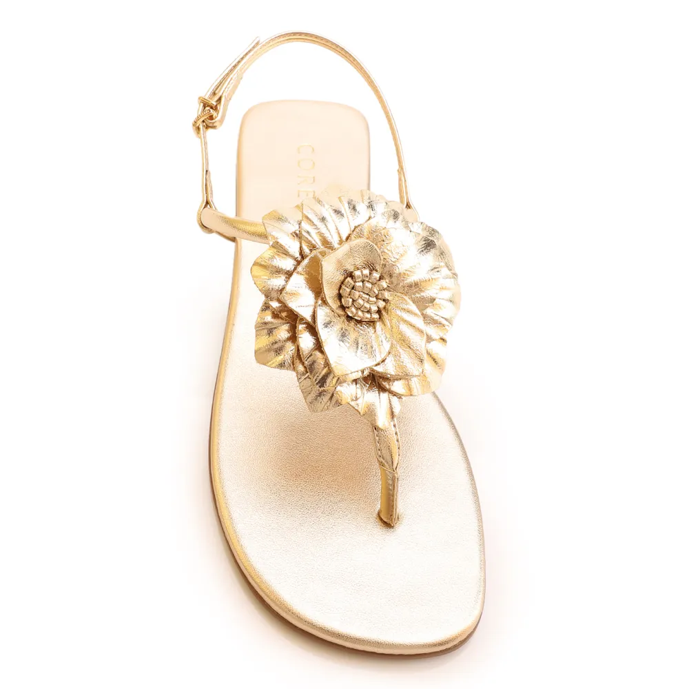 Rasteirinha Flor Couro Dourado/Alt Dourado - imagem 5