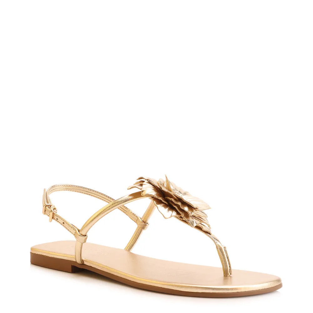 Rasteirinha Flor Couro Dourado/Alt Dourado