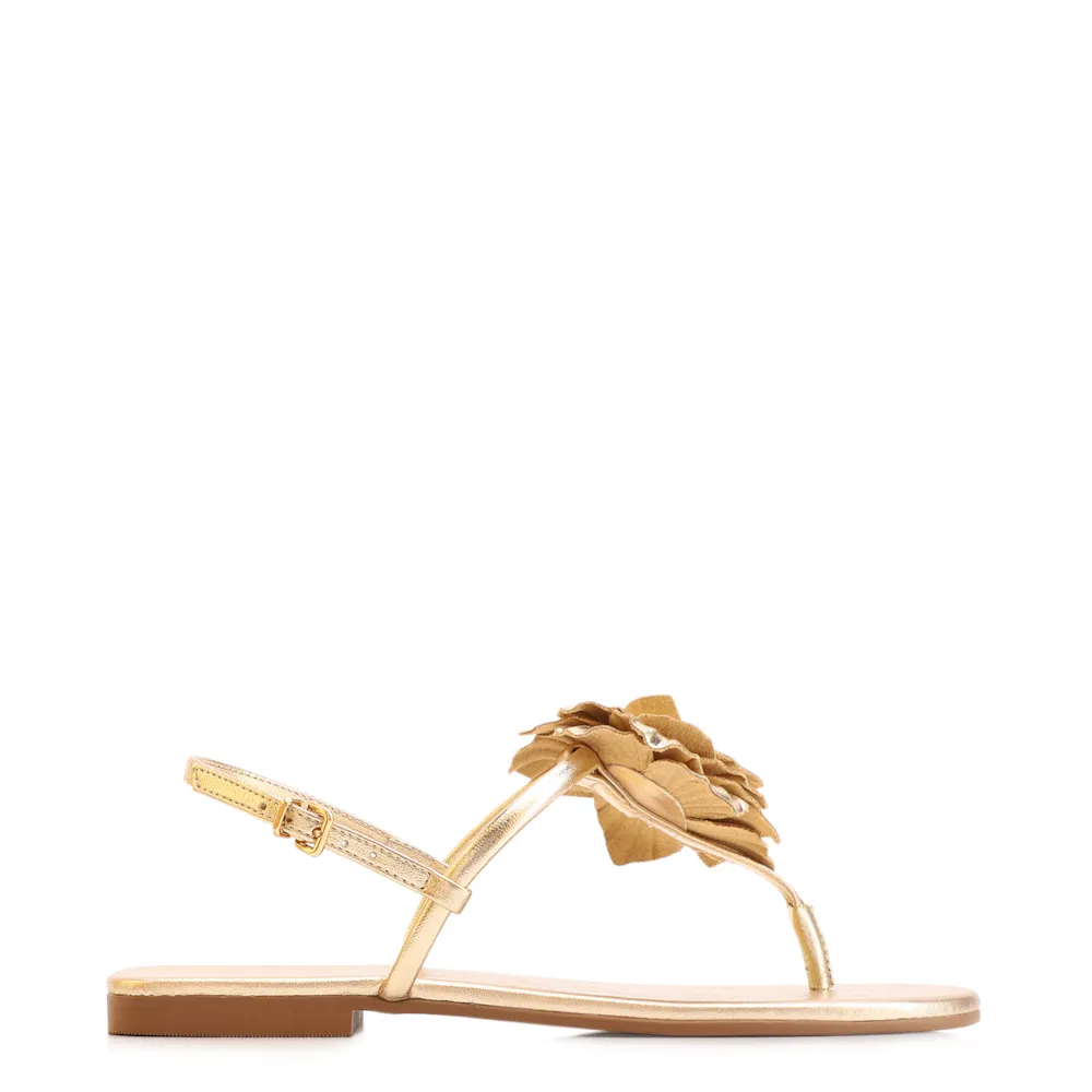 Rasteirinha Flor Couro Dourado/Alt Dourado - imagem 2