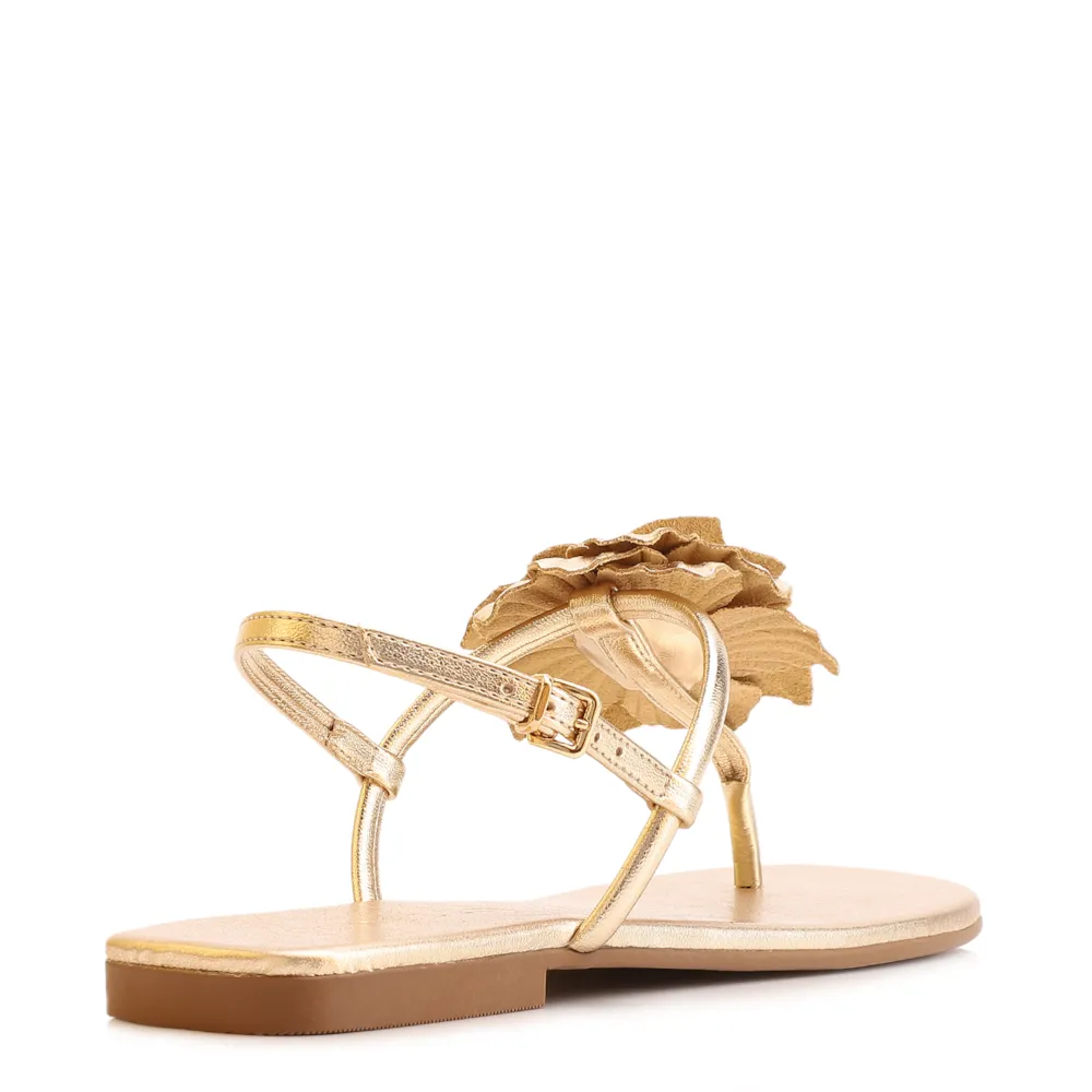 Rasteirinha Flor Couro Dourado/Alt Dourado - imagem 3