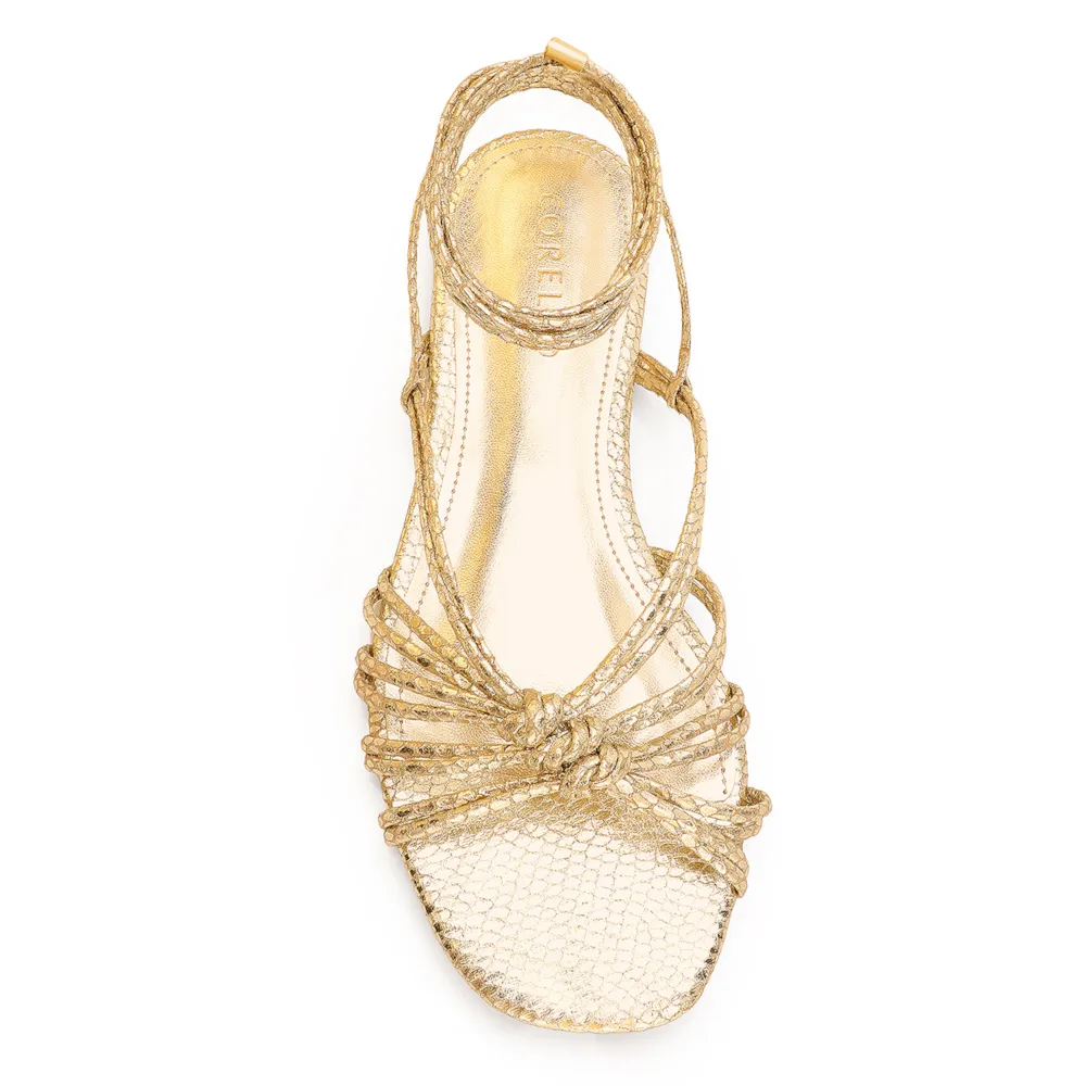 Rasteirinha Python Alt Dourado - imagem 6