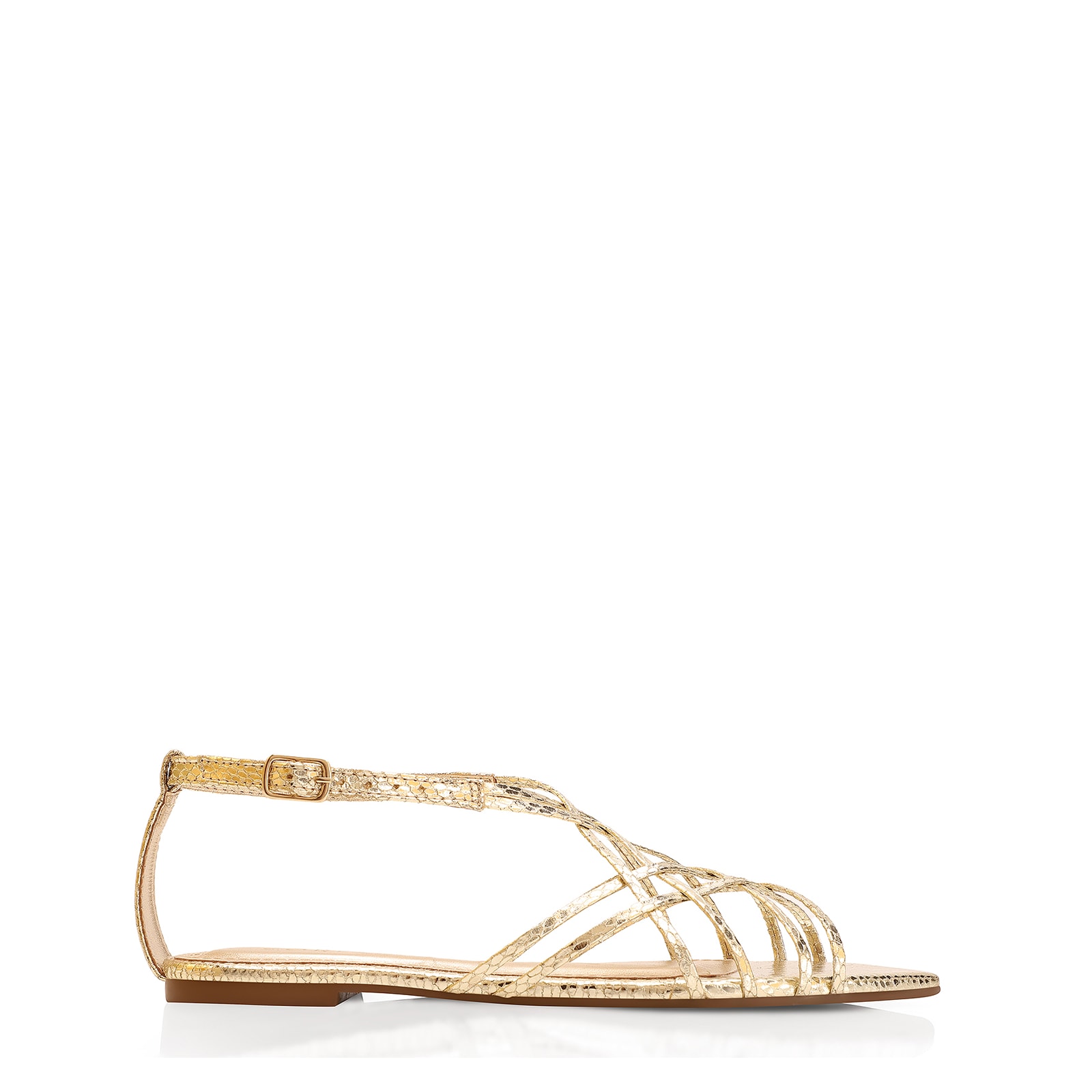 Rasteirinha Python Alt Dourado