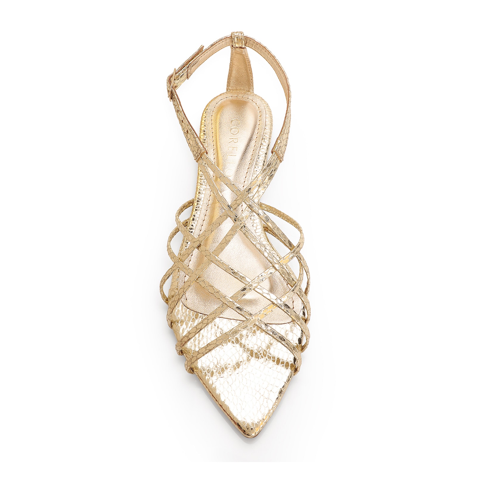 Rasteirinha Python Alt Dourado