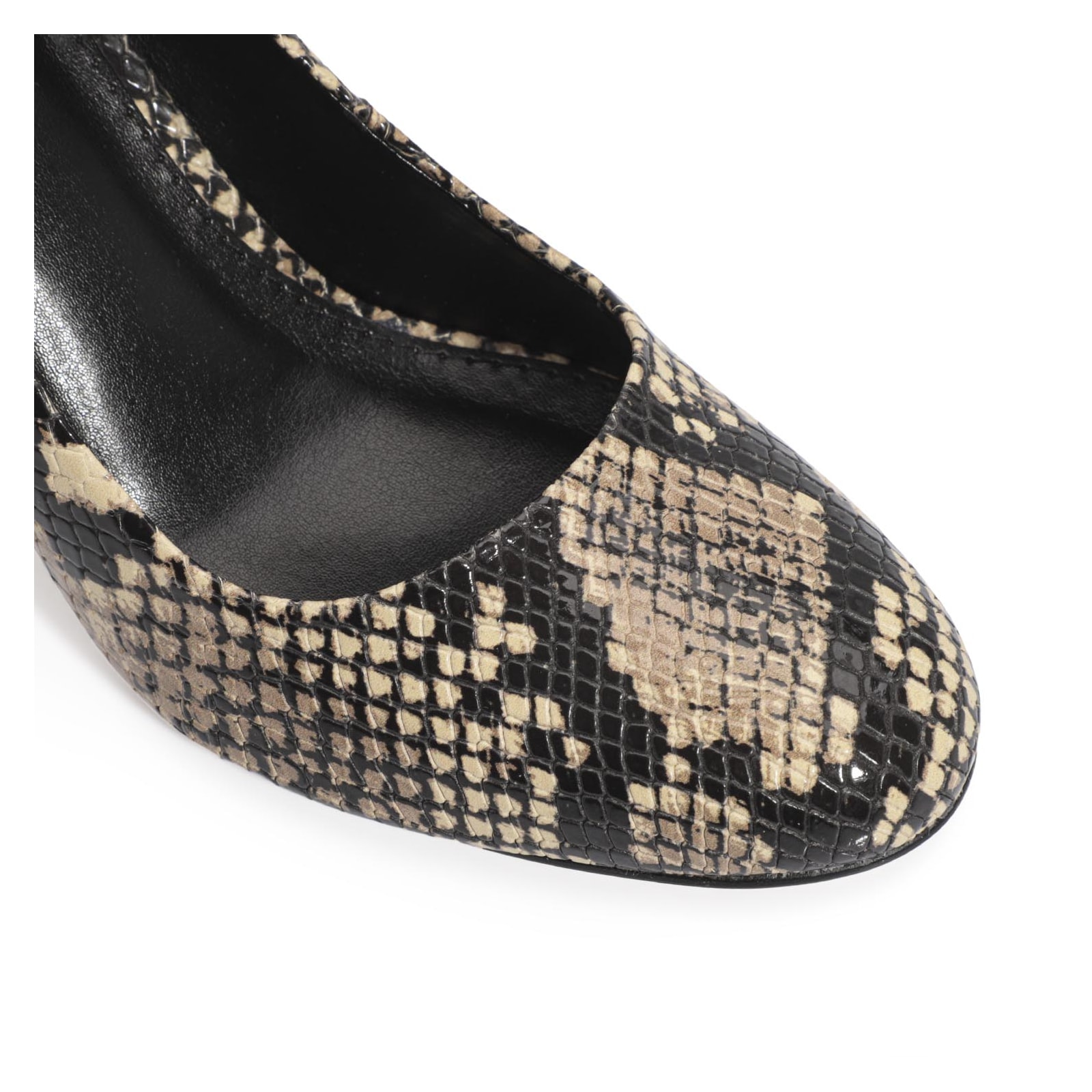 Scarpin Alt Python