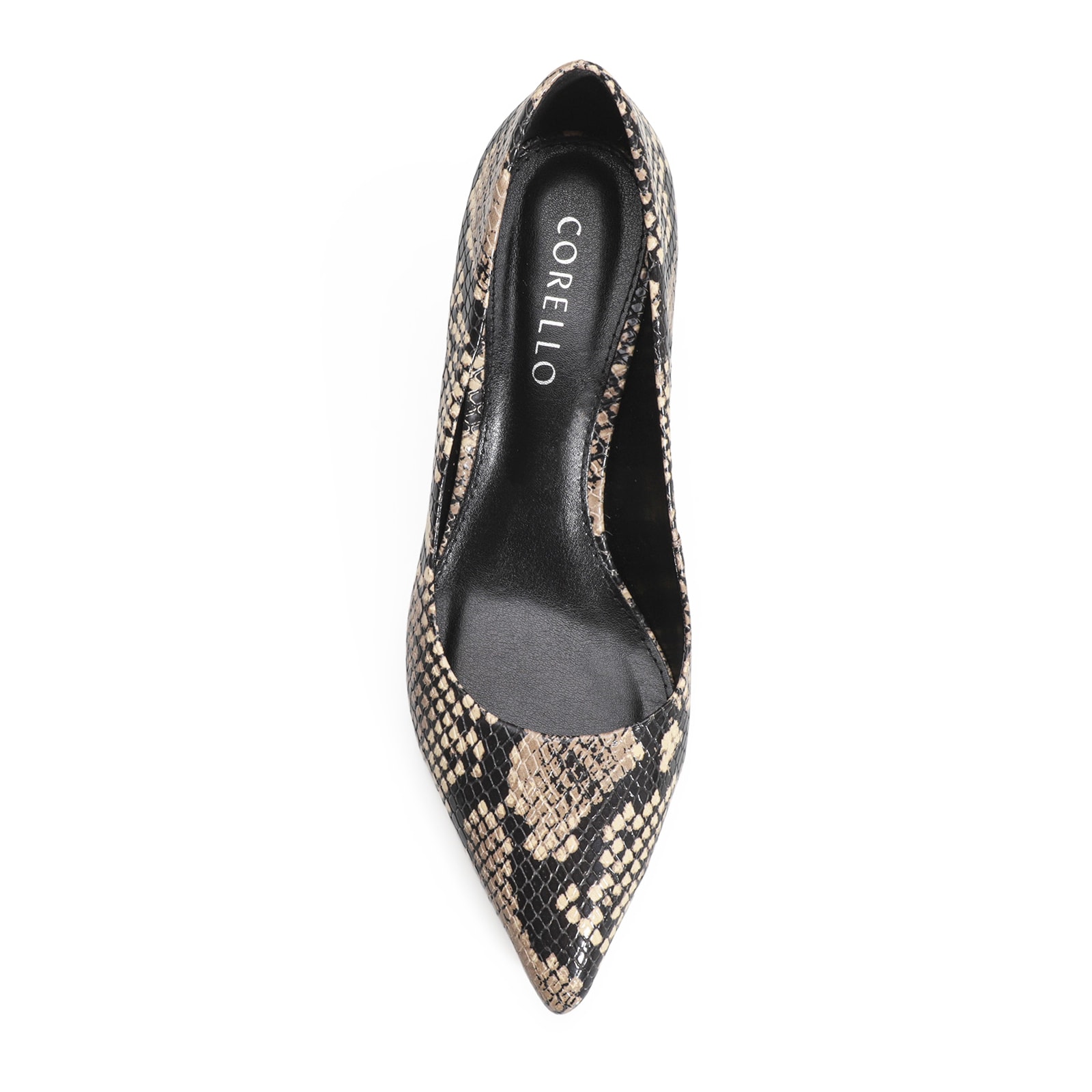 Scarpin Alt Python