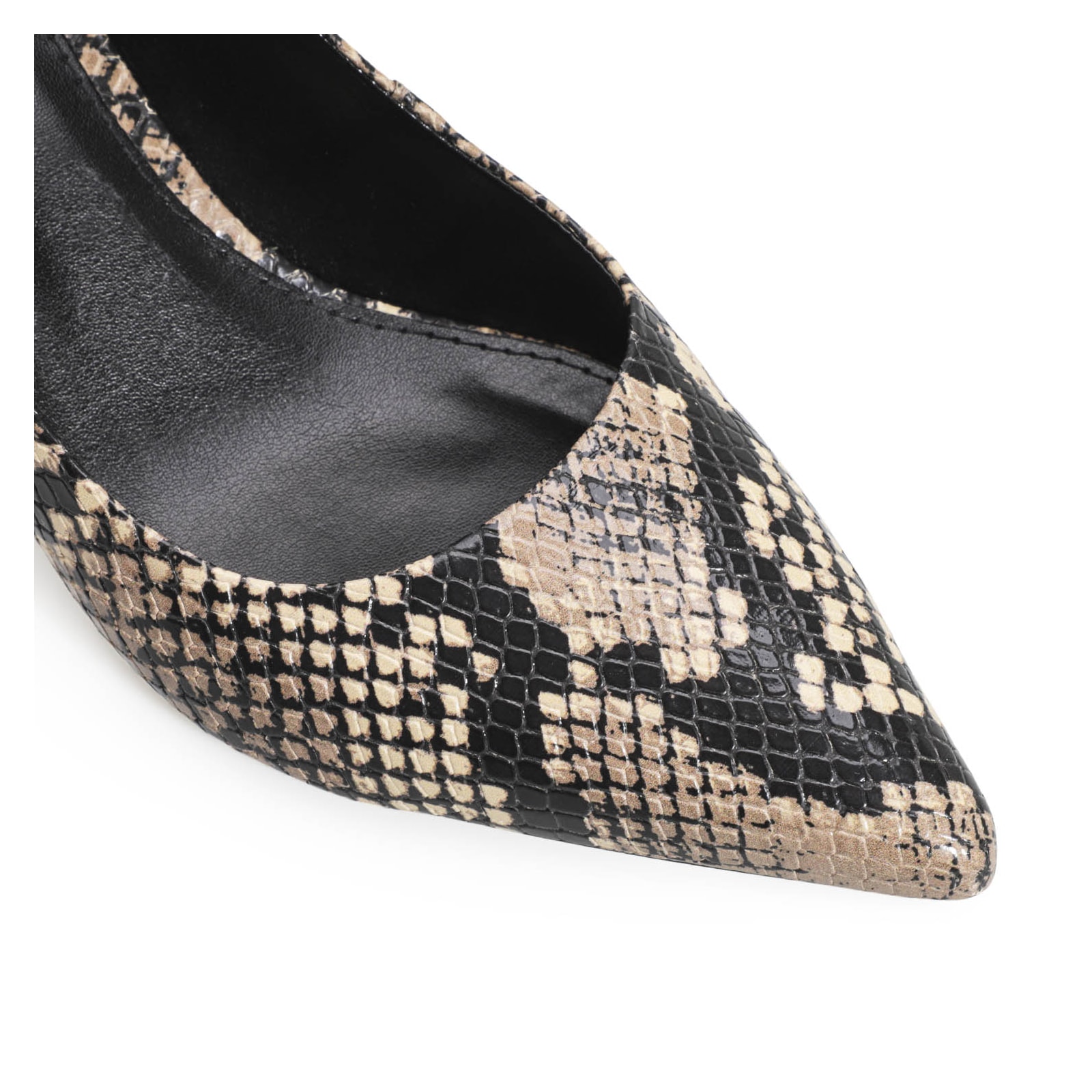 Scarpin Alt Python